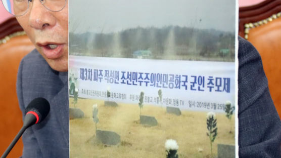 이주영 의원 “파주 적군 묘지에서 인민군 추모제 열렸다”, 사진 공개