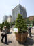 불법 천막이 놓여있던 자리에 서울시가 가져다 놓은 나무가 놓여 있다. [뉴시스]