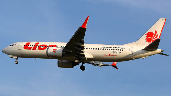 '2대 추락 사고' 보잉 737 맥스, 개선된 시스템서 또 문제