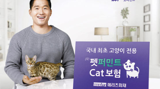 [함께하는 금융] 업계 최초 ‘장기 고양이보험 상품’3년 단위 갱신, 보험료 인상 최소화