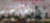 26일 서울 서초구 더케이호텔에서 열린 2019자유한국당 우먼 페스타에서 여성당원들이 축하공연에 선보인 엉덩이춤이 논란이 되고 있다. [사진 YTN 방송화면 캡쳐] 