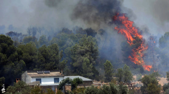 유럽 폭염에 20년래 최악 산불, 인명 피해도…"기상이변 더 자주 온다"