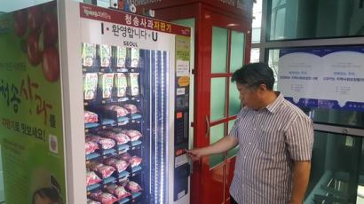 사과 자판기 만든 '유통 달인' 청송사과유통공사, 8년만에 폐업