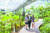 정수민(가운데) 주무관이 김수연(왼쪽)·정해린 학생기자에게 서울식물원 곳곳을 소개했다. 머리 위로 스카이워크가 보인다.