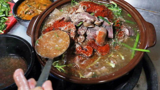 열흘간 개 1만 마리가 식탁으로 …중국 개고기 축제의 씁쓸함
