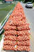 지난달 13일 경북 김천의 한 양파밭 옆 도로 가장자리에 수확한 양파가 수북이 쌓여 있다. [뉴스1]