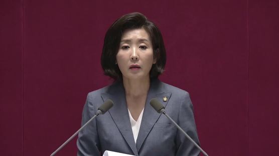 '김정은 대변인' 발언 논란 나경원, 이번엔 "文정권 신독재"