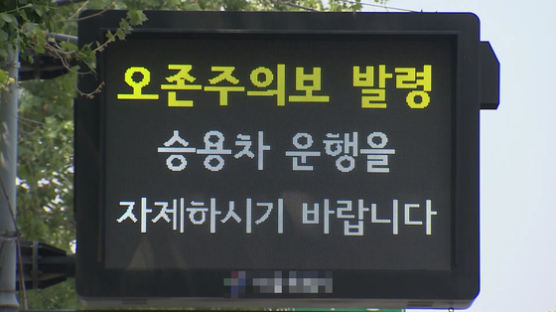 서울시, 첫 폭염경보에 오존주의보까지
