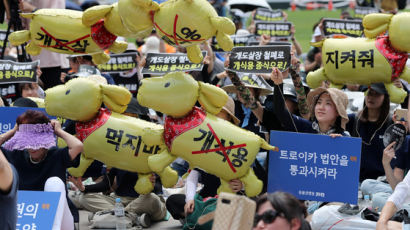 초복 앞두고 열린 ‘개식용 철폐' 집회…"오늘 반려동물이 내일 식용"