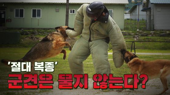 [박용한 배틀그라운드] ‘절대복종’ 군견은 사람을 물지 않는다