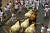  스페인 팜플로나에서 개막한 산페르민 축제 참가자들이 7일(현지시간) 황소와 함께 좁은 골목길을 달리고 있다. [AP=연합뉴스]