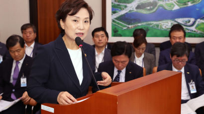 “민간 분양가 상한제” 김현미의 초강수