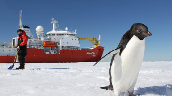 정부 남극에 신규 특별보호구역 제안…'펭귄마을'에 이어 두 번째