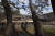 6일 유네스코 세계유산으로 등재된 소수서원(경북 영주). 1543년 한국 최초로 건립된 서원이다. 세계유산위원회는 6일 소수서원을 비롯한 9개 &#39;한국의 서원&#39;을 세계유산으로 등재했다. 우리나라 14번째 세계유산이다. [사진 문화재청]