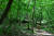 선운사에서 도솔암으로 이어지는 오솔길은 나무가 울창해 여름에도 시원하다. [사진 한국관광공사]