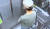 7일 광주 북부경찰서는 두 살배기 유아를 인질로 잡고 금품을 강탈한 3인조 강도를 일망타진했다고 밝혔다. 사진은 지난 4일 광주 북구의 한 아파트에 진입하는 공범의 모습. [연합뉴스]
