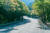 팔공산 순환도로 가로수길. 벚나무와 단풍나무가 터널을 이루고 있어 사계절 아름답다. [사진 한국관광공사]