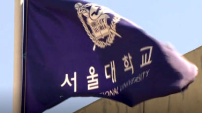 '코디' 대학교수 엄마 덕 봤나…'부정입학’ 논란 서울대생, 입학 취소될까