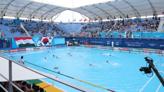 女수영선수 신체 몰래 촬영한 일본인, 긴급출국정지···처벌은