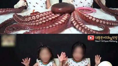 6살 쌍둥이에게 '10kg 대왕문어' 먹방 시킨 국내 유튜버 
