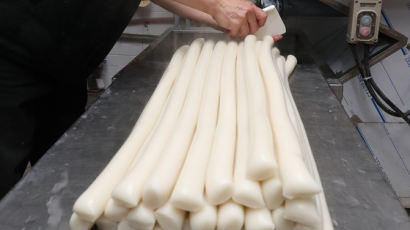 떡국떡 '절단한 날'을 제조일로 표기한 업자…벌금 300만원 
