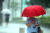 소나기가 내리는 15일 오후 서울 강남구 학동역 인근 거리에서 시민들이 우산을 쓰고 걷고 있다. [뉴시스]