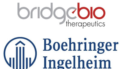 브릿지바이오, 독일 베링거에 0.01% 희귀 폐병약 기술수출