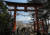지난 4월 16일 외국인 관광객들이 일본 야마나시현 후지요시다시의 아라쿠라센겐신사의 도리(기둥문) 앞에서 후지산을 촬영하고 있다. [EPA=연합뉴스] 