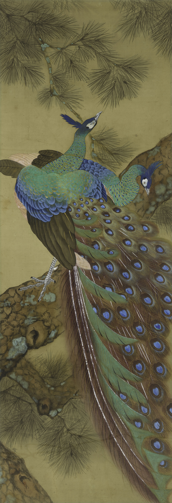 정찬영의 ‘공작’(1935). 화려한 색채와 섬세한 묘사가 돋보인다. [사진 국립현대미술관}