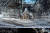 17 일 노트르담 성당 천정에 낙하물을 막기 위한 그물망이 설치되어 있다. [AFP=연합뉴스]