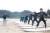 지난 15일 오후 강원도 양양의 한 해변에서 서핑 교육을 받는 공무원들. [사진 양양군]