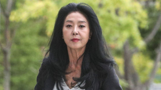 김부선 '부녀회장 아들이 절도' 허위 글…항소심도 벌금형