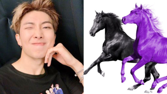 RM Features in Lil Nas X's "Old Town Road" Remix: Seoul Town Road