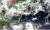 지난 17일 천리안 2A 위성으로 본 장마전선과 태풍 다나스의 모습. [사진 기상청]