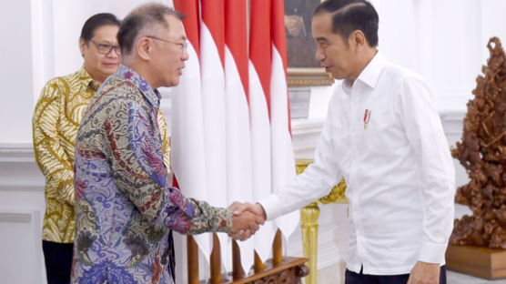 정의선, 위도도 印尼 대통령 면담… "신(新) 남방정책 모색"