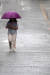 중부지방에 장마가 이어진 25일 오후 경기도 수원시 장안구 거리에서 한 시민이 우산을 쓴 채 발걸음을 재촉하고 있다. 기상청 예보에 따르면 28일까지 100㎜~250㎜의 비가 올 것으로 보이며, 많은 곳의 경우 400㎜ 이상의 폭우가 쏟아질 전망이다. [뉴스1]
