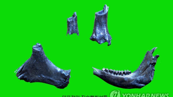 北 예성강 유역서 구석기시대 유적 732점 발굴