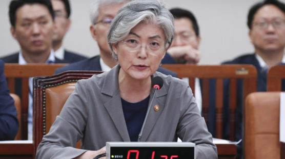 강경화 "지소미아 지금은 유지"…내달 한·미·일 외교장관 회담 가능성