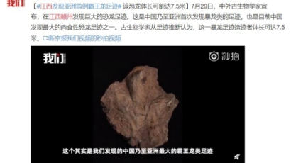 “중국서 티라노사우루스류 공룡 발자국 발견…역대 최고 크기”