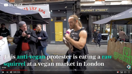 런던 한복판 “채식 반대” 외치며 다람쥐 사체 먹은 남성…불붙은 ‘채식 혐오’ 논란