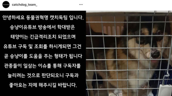동물보호단체, ‘동물학대 방송’한 유튜버와 반려견 긴급격리
