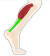 사람이 움직이는데 필요한 근육과 관절은 어느 하나 빼놓을 수 없지만, 그중 중요하게 관리해야 하는 부위 중 하나는 종아리 근육이다. [사진 pixabay]