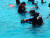 6일 서울 광진구 능동의 어린이회관 수영장에서 광나루 안전체험관 교관들이 생존 수영법인 &#39;잎새 뜨기&#39;를 지도하고 있다. 윤상언 기자
