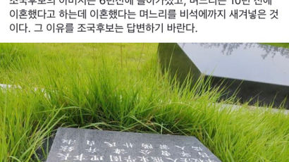 김진태 “조국 부친 묘비에 이혼한 전 제수씨 이름…답변 바란다”