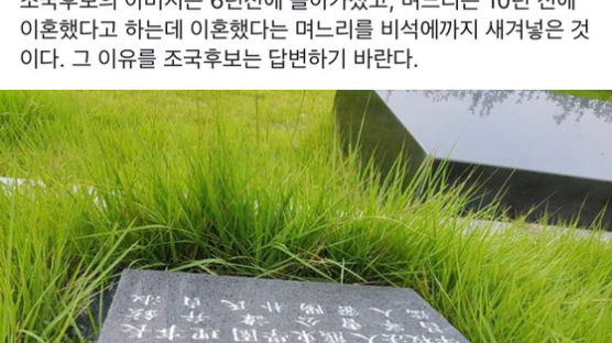 김진태 “조국 부친 묘비에 이혼한 전 제수씨 이름…답변 바란다”