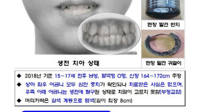 "경찰에 신고해서"···오산 백골 시신 살해 범인, 가출팸이었다