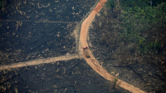 [서소문사진관]아마존, 이틀간 1663건 화재…해결책은 오리무중