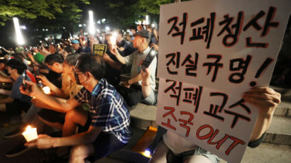 서울대 촛불집회 주최자 "태어나서 일베라는 소리 처음 들어봤다" 