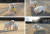 문재인 대통령이 지난해 12월 25일 평양 방문 시 김정은 북한 국무위원장으로부터 선물 받은 풍산개 곰이가 낳은 강아지들이 뛰어놀고 있는 모습. [사진 청와대]