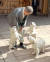 문재인 대통령이 지난 2월 6일 청와대 관저에서 풍산개 ‘곰이’가 낳은 강아지들과 시간을 보내고 있다. [사진 청와대]
